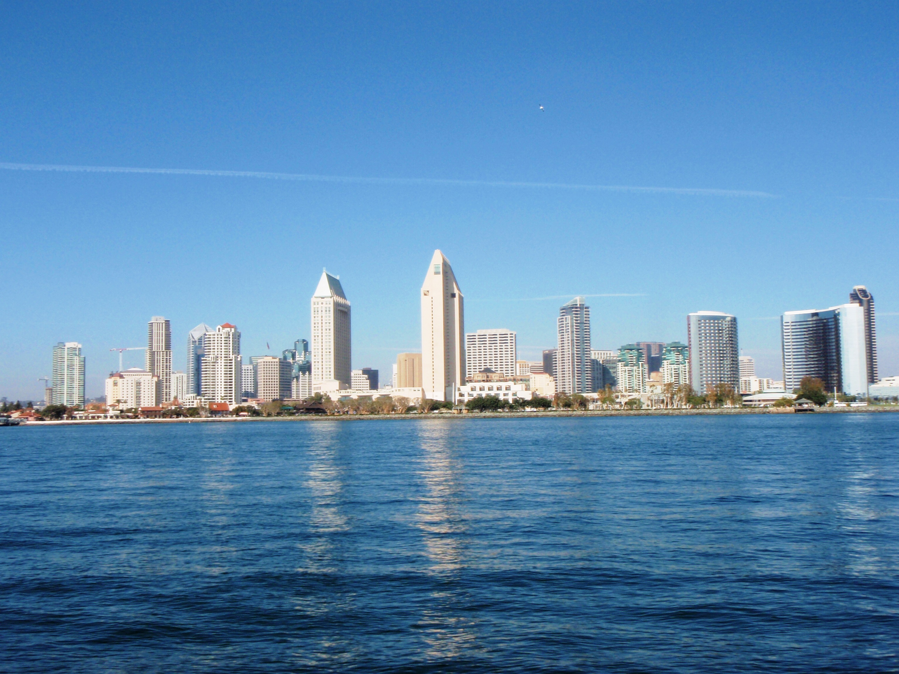 San Diego View